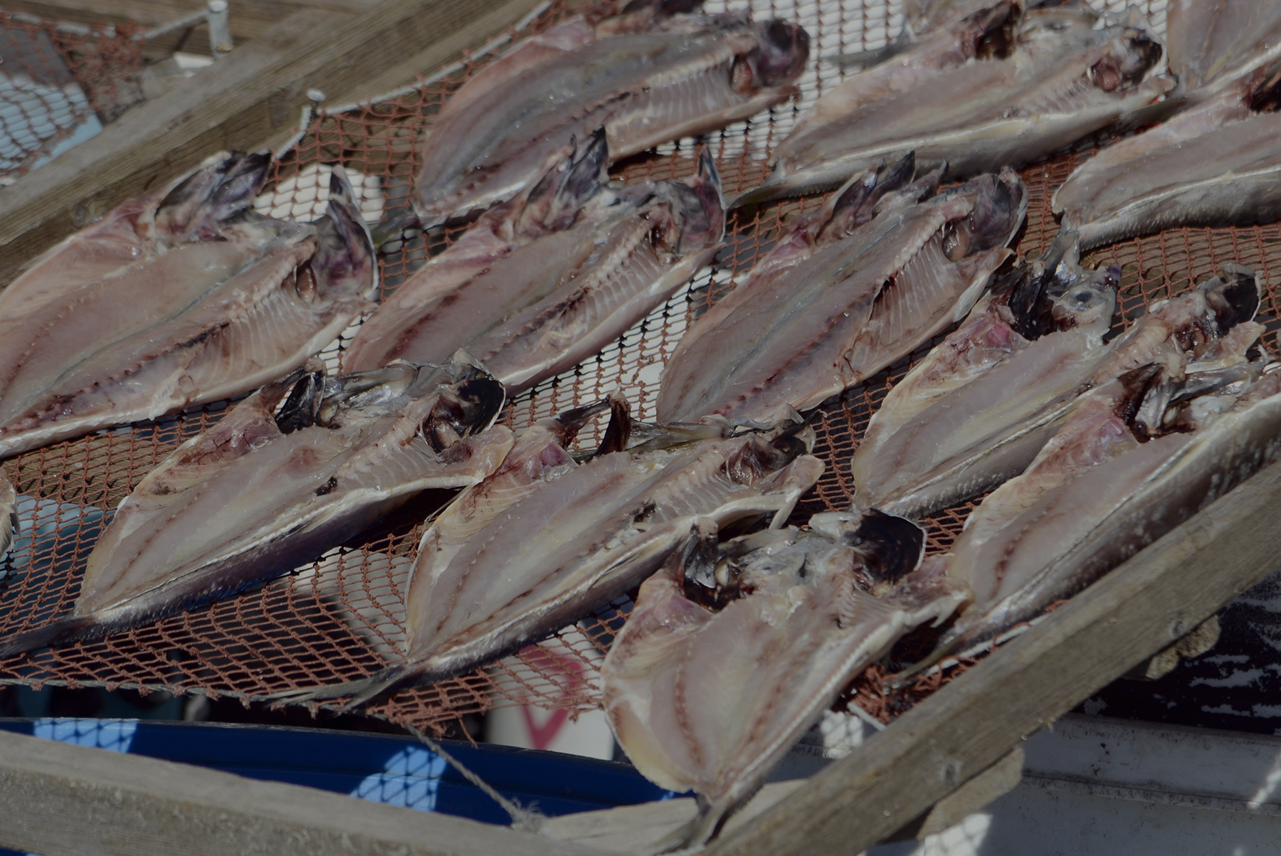 有限会社中田メイン画像